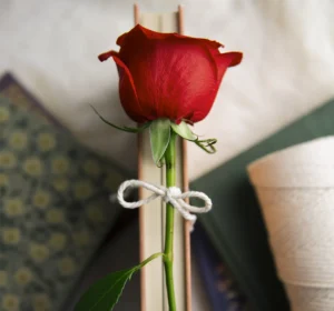Llibre amb una rosa per poder celebrar un bon Sant Jordi